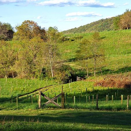Walnut Run Farm Villa Woodville Bagian luar foto