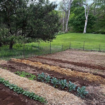 Walnut Run Farm Villa Woodville Bagian luar foto
