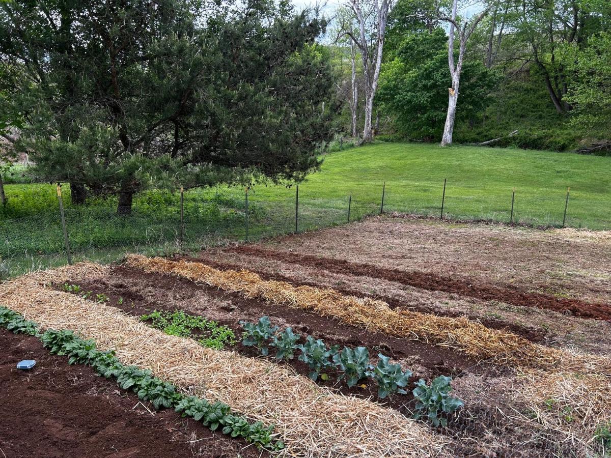 Walnut Run Farm Villa Woodville Bagian luar foto