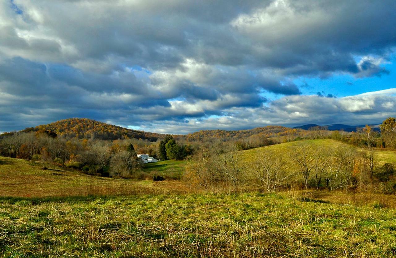 Walnut Run Farm Villa Woodville Bagian luar foto