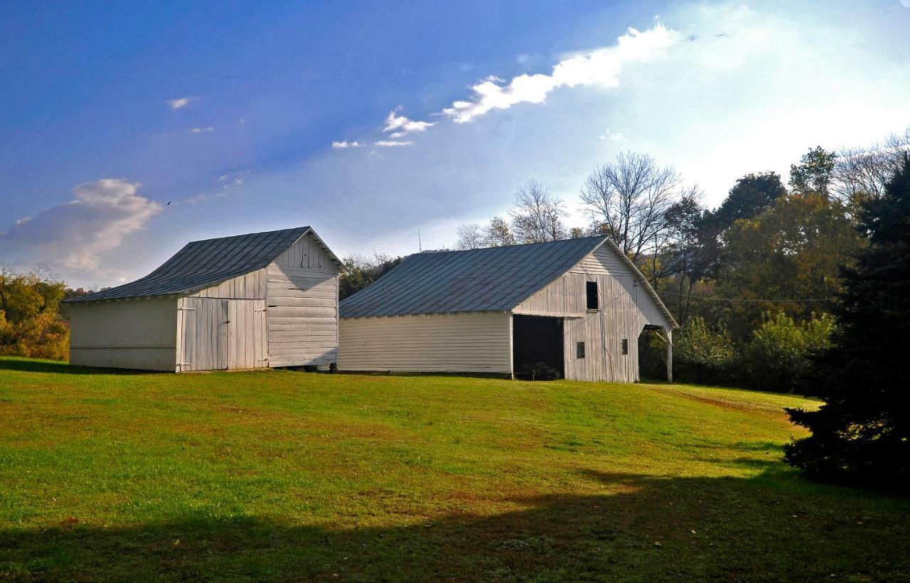Walnut Run Farm Villa Woodville Bagian luar foto