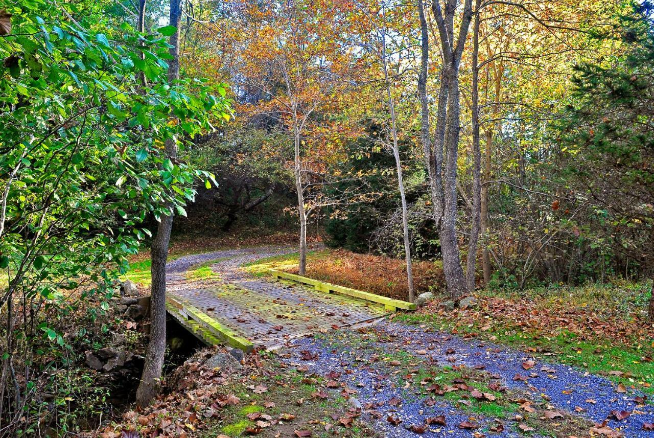Walnut Run Farm Villa Woodville Bagian luar foto